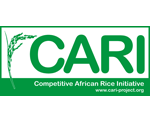 Competitive africa rice initiative